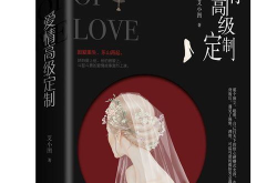爱情高级定制小说,针锋相对中的爱情火花