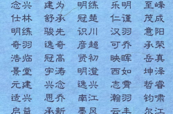 荆姓缺木男孩起名大全四个字是什么,四字佳名汇聚智慧与生机