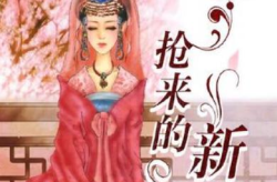 席绢小说在线阅读,席绢言情小说在线阅读概览
