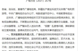 8位网红被点名批评,央视点名批评的八位网红，揭秘流量背后的道德沦丧