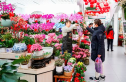 北京鲜花店,浪漫之选，情感传递的使者”