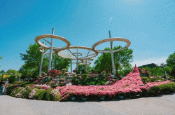 画瓜旅游记将游客好评写成初夏的“请柬”！519中国旅游日快来这些景区玩