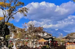 去昆明旅游,昆明之旅攻略全解析