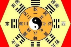 八卦玄机网13110内幕,探寻古老智慧的奥秘
