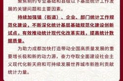 统计基层基础建设,助力经济社会高质量发展