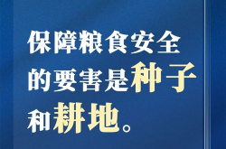 对养殖户的访谈报告题目新颖建议,深度访谈揭示养殖户现状与未来展望