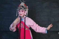 河南戏曲下载,海量下载，尽享传统艺术魅力