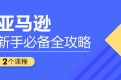 亚马逊新手入门教学,全面入门指南与实操技巧
