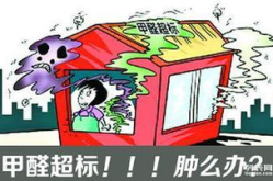 哈尔滨甲醛治理,专业除醛，守护健康家居环境