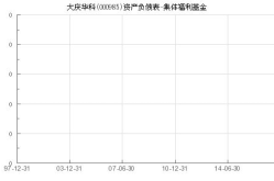 000985基金,稳健增长策略与市场前景分析