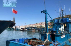 天津东港码头螃蟹价格表,鲜美蟹肥，品质与价格共舞