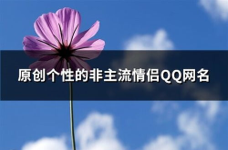 非主流情侣qq网名,非主流情侣QQ网名的独特魅力与情感表达