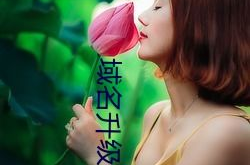 岳风柳萱小说最新章节目录,岳风逆袭之路，揭开家族秘密