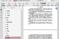娱乐圈吃瓜总汇421,421页PDF揭露明星幕后真相