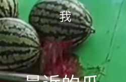 在线吃瓜,揭秘在线吃瓜背后的趣味与真相