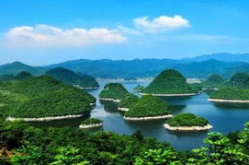 金阳百花湖烧烤地址查询最新,探寻美食与美景的完美融合”